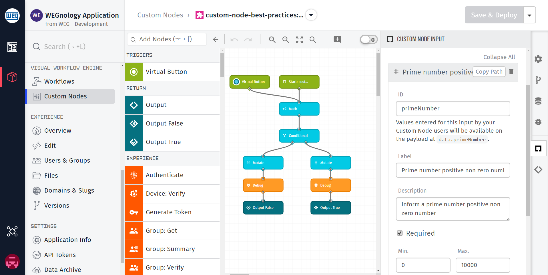 Custom Node Inputs Custom Node Inputs