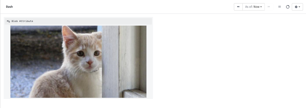 Blob On Image Dashboard Block Blob On Image Dashboard