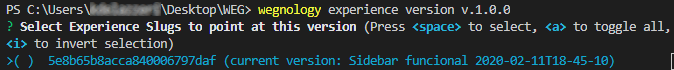 Experience Version Create Version List