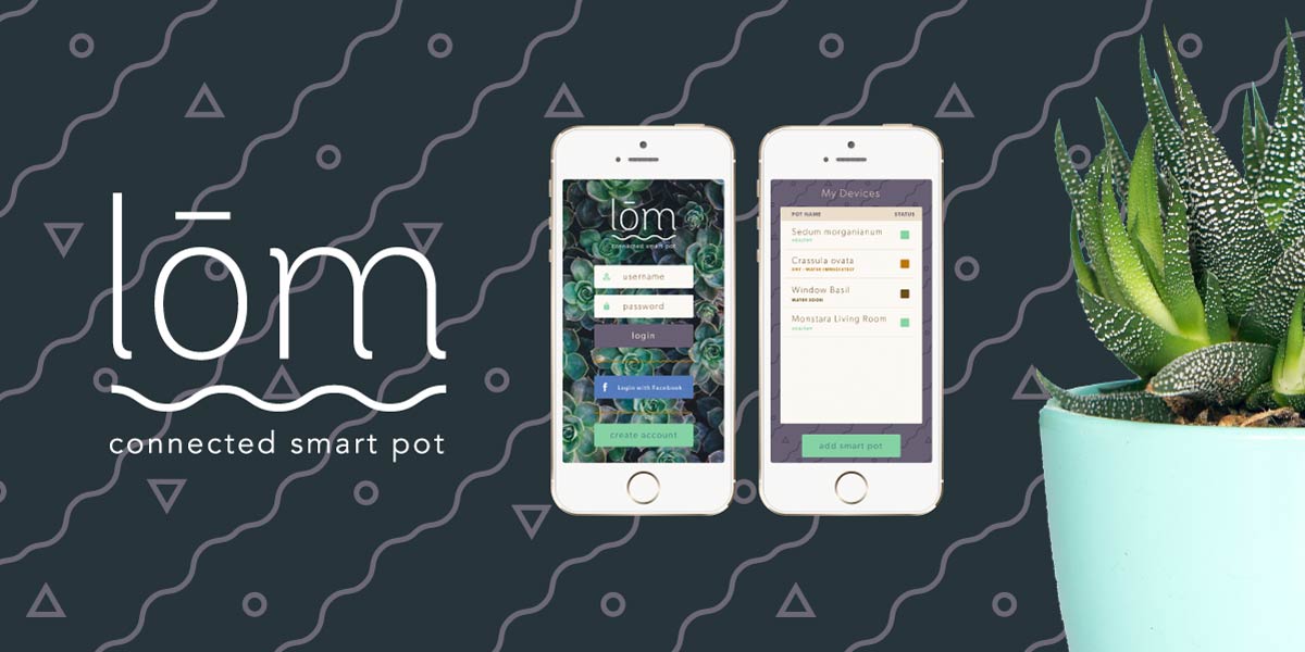 lom banner lom banner